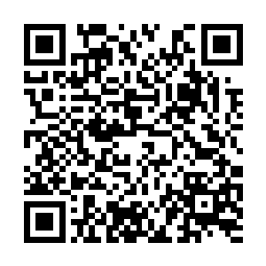 连彪悍骄横的苏紫嫣都不敢对他们主子大呼小叫的二维码生成