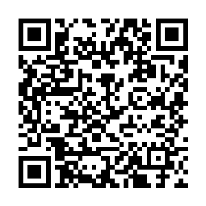 连忙一脸兴奋跟和连俢肆一起转过身来的唐翩跹求证二维码生成