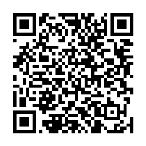 连我下面闻讯过去盯梢的两个探子都落在了信义阁的手上二维码生成