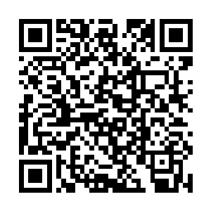 连我们和盘古文明都掌握了一定程度的无人驾驶技术二维码生成