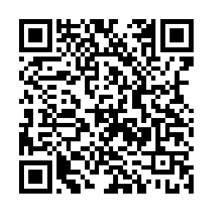 连我对面的师叔也都没有时间再去管那些小鬼头太岁了二维码生成