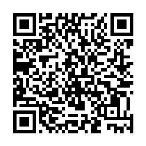 连手上将心爱的宠物白毛蜘蛛的白毛拔下来一把都不知道二维码生成