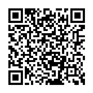 连捧带拽的把一件超超超牛掰的婚纱塞进了柜子二维码生成