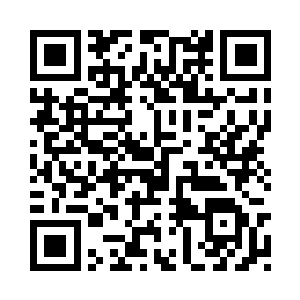 连支线小飞机都显得远了点用不上二维码生成