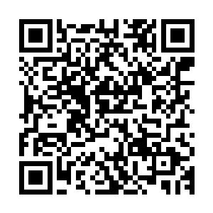 连方叔这个嫡传的都只能无奈的竖着大拇指对秦方说了一个服字二维码生成