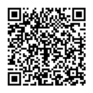 连普通生活生产物资都得从国外进口的来珀尔表面上看起来悠然自得二维码生成