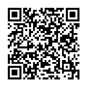 连最外围那些最低等级的星火妖狼的一击都挡不住二维码生成