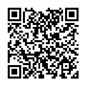 连最擅长治疗的亚兰大巫对殿下的病情都无可奈何二维码生成