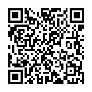 连树皮夹缝中藏着的幼虫也被近千只啄木鸟尽数啄出食用二维码生成