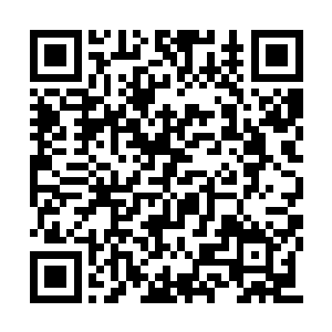 连武田智身前的影王和白金石魔都被穿透了……二维码生成