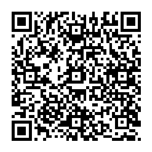 连没有驾照的南南都可以在空无一人的机场跑道上开着世面上都看不到的超级跑车狂奔二维码生成