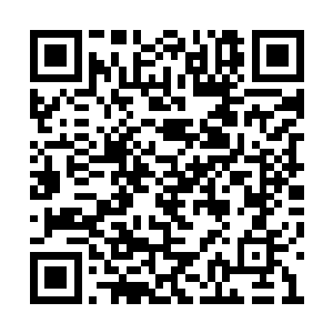 连珠炮似的说了好几句才看到站在屋里的白奇雪二维码生成