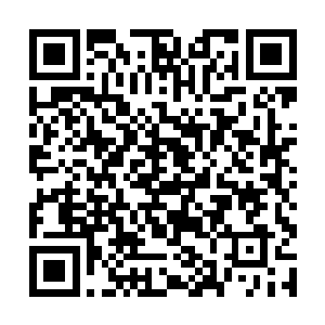 连白彪那素来号称能跻身水族天才前十名的独子白豹二维码生成