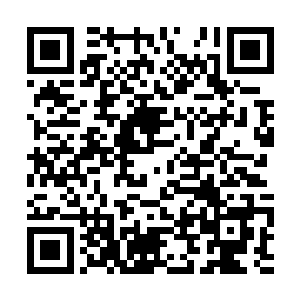 连秦野狐这么重要的人物亲自上门拜访都拒而不见二维码生成