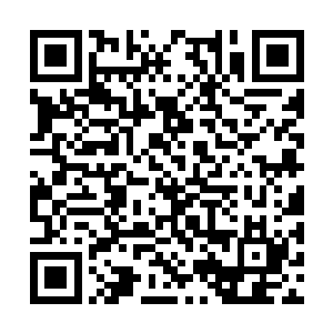 连笑君主大人都不敢说有十足把握自己能够活下去二维码生成