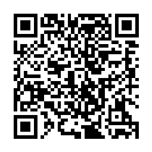 连累白小鹿也不得不坐在距离他最近的一辆装甲车里面二维码生成