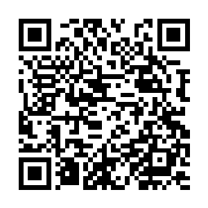 连续一个多星期高强度的训练实在是太枯燥乏味了二维码生成