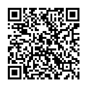 连续两拳打在了将用塑料凳子砸倒大卫的波兰人脸上二维码生成