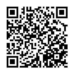 连续无法升起护罩的下场便是这片刻功夫已将他他烧成重伤二维码生成