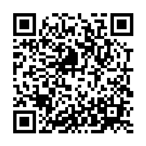 连续服食两颗六品混沌丹对于眼前这些人已经到了极致二维码生成