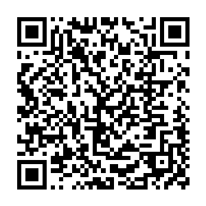 连缥缈海域一成的海域都没有掌控……其余地方不是被强横生灵占据二维码生成