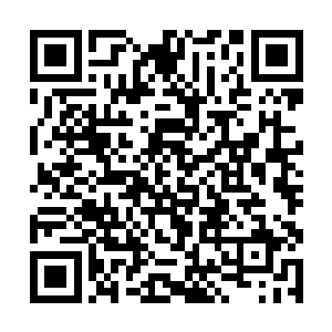 连翘手中装着天材地宝的行囊就落入了夏侯瑾的手中二维码生成