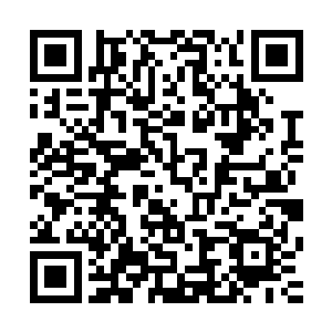 连老祖宗传下来什么叫尊师重教的传统道德文化都完全给丢了二维码生成