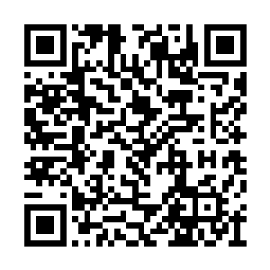 连自己之前所经历的灭元之劫的万分之一都不如二维码生成