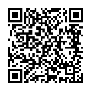 连虞莱都被自己这一番似懂非懂的话忽悠得分不清东西南北二维码生成