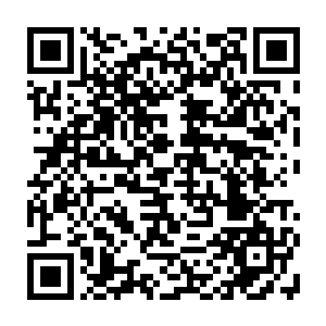 连蜀生公司以美国泛美肯氏国际公司名义进行的外销货物都经常被野蛮检查二维码生成