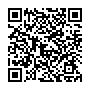 连许紫烟收走的书架和桌子之后留下的印记都消失不见二维码生成