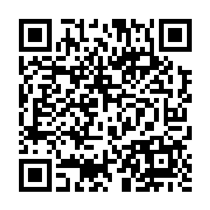连证明自己清白的胆子都没有……你还是趁早去了势吧二维码生成