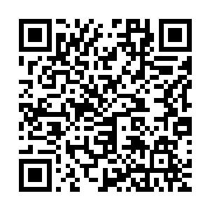 连赶去嘉兴南笙的那批南方几个省的经销商们也开始拿到货了二维码生成
