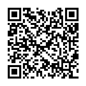 连身为仇敌的杜预都产生了一点好笑和可怜的感觉二维码生成