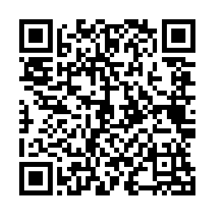 连这个粗糙的汉子都知道自己不喜欢司马十七郎娶侧妃了呢二维码生成