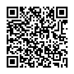 连这个野蛮初境的青年都将自己的老大打成这幅样子二维码生成