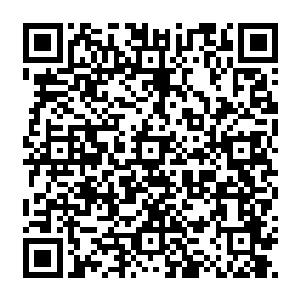 连这棵大树的树干上都被撞出了一个差不多有五公分左右的坑……这也就是这棵树非常粗了二维码生成