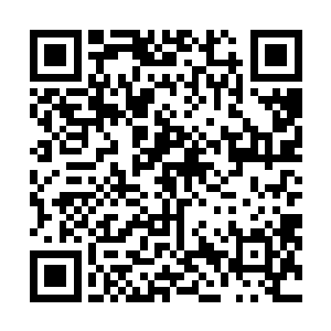 连逃的逃不掉……好在秦方他们顺利的走出了这一片大山二维码生成