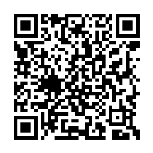 连递到了手上的门包也是劈手夺过来丢到门外过二维码生成