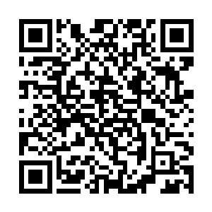 连那一方被姜泥丢入湖底的红泥火砚都能重新捡回来二维码生成