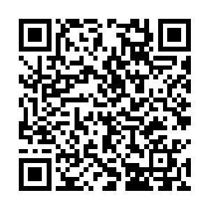 连那些个背后背了百十来斤的毒蛇尸体的人也不变脸了二维码生成