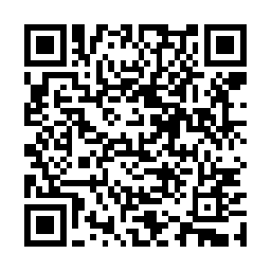 连那位王妃都偷偷坐正认真听这颇有点冒险的过程二维码生成