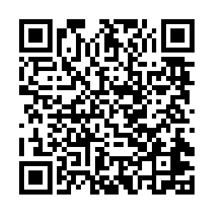 连那山野之中的飞禽走兽都龟缩进了自己的洞窟之中二维码生成