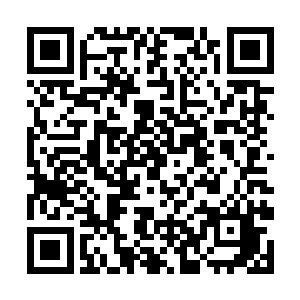 连那条伤口也在真气的作用下已经愈合的七七八八了二维码生成