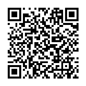 连那碗茶渣子在茶马古道走上一遭后的溢价都算在内二维码生成