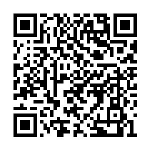 连那碰撞之后激射而出的剑风都具备可怕的威力二维码生成