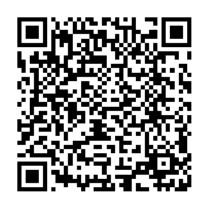 连那西河派的掌教西河老祖都被温桥府府令帐下的一名名为敖厉的大将给灭杀了二维码生成