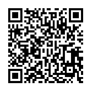 连重阳宫都惊动了……听说重阳宫掌门也在赶来南湖省的路上了二维码生成