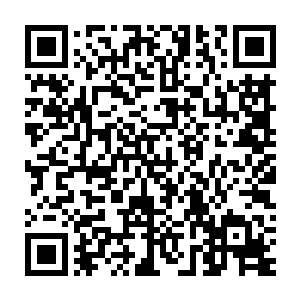 连野兽都不会咬那只喂他的手――而我们甚至已经选择了把第一块二维码生成