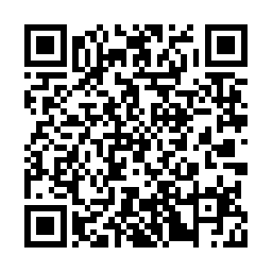 连阔临别之前还给她留下了不少奇奇怪怪的药丸二维码生成